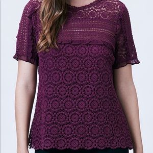 Daniel Rainn The Hailey Wine Lace Embroidery